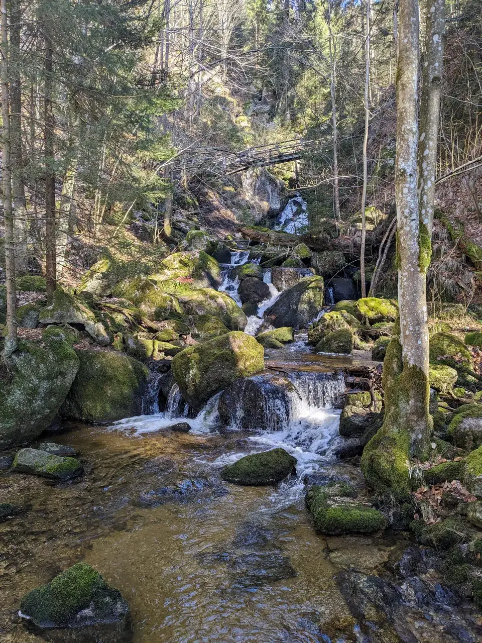 Water cascades down the Ysperklamm through a bridge.