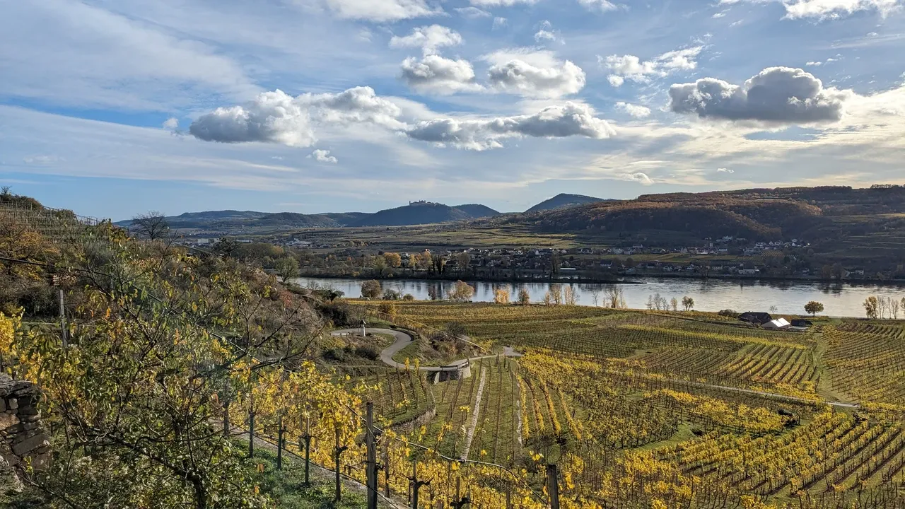 Yellow-coloured vineyards near Dürnstein with a view towards Göttweig Abbey.