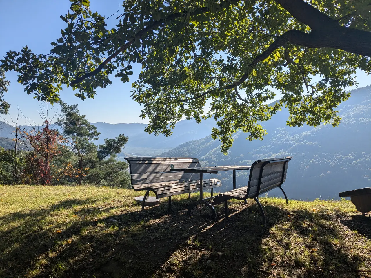 Bench next to Zornberghütte under a big tree