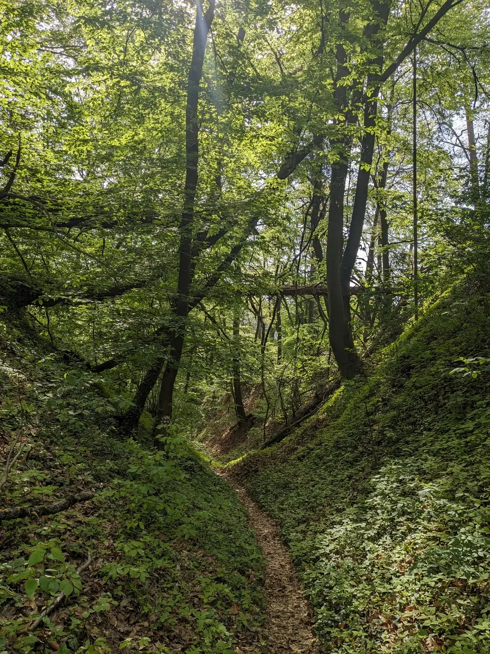 Quaint trail to Luberegg Castle.